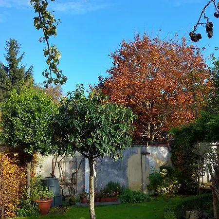 Exterlaer 4*